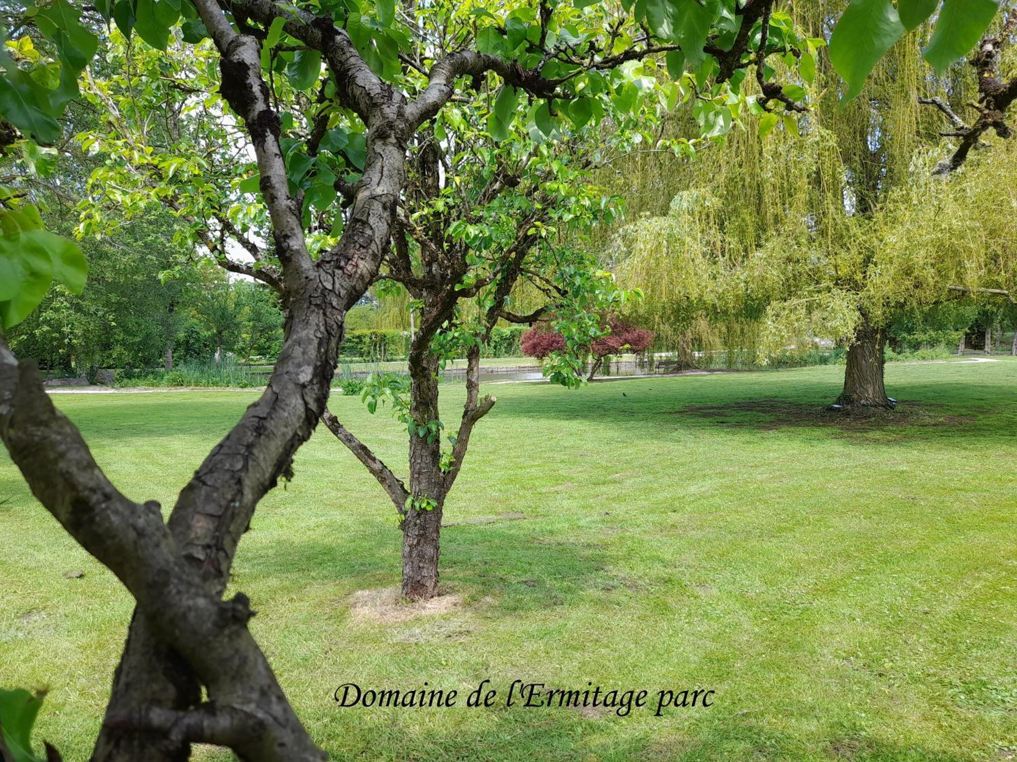 特伊Domaine De L'Ermitage别墅 外观 照片